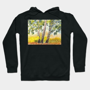 Autumn Birch Trees Hoodie